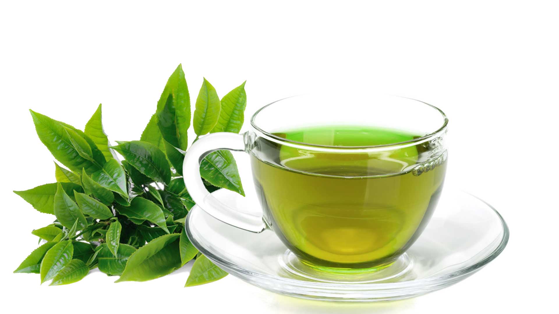 Green Tea Healthful Food You Can Eat.