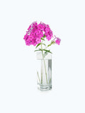 Product title here flower 1