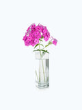 Product title here flower 1