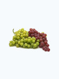 Product title here fruit 2